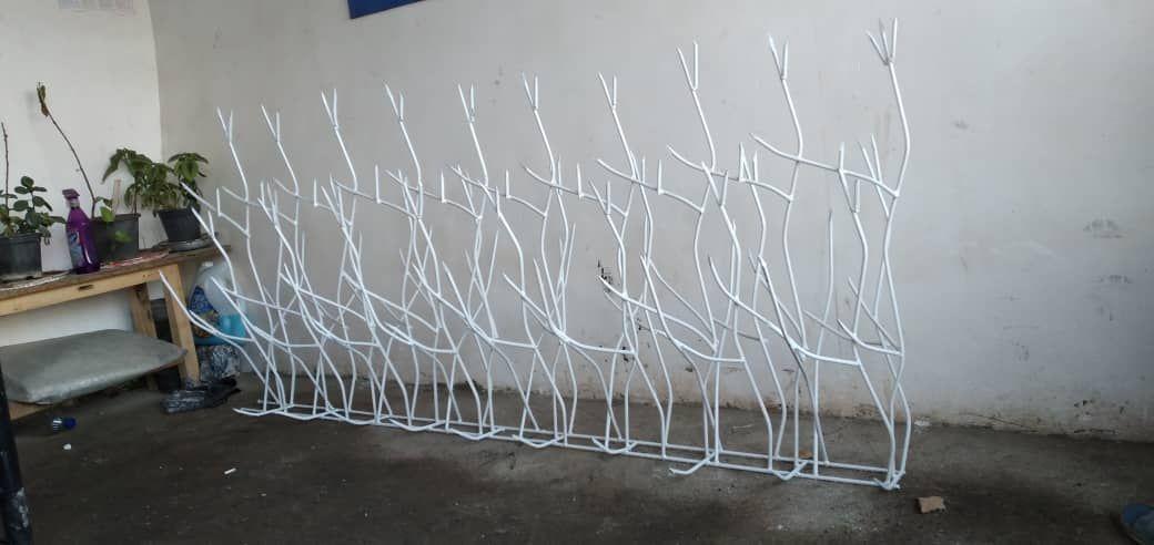 حفاظ شاخ گوزنی و تاثیر آن بر زیبایی محوطه