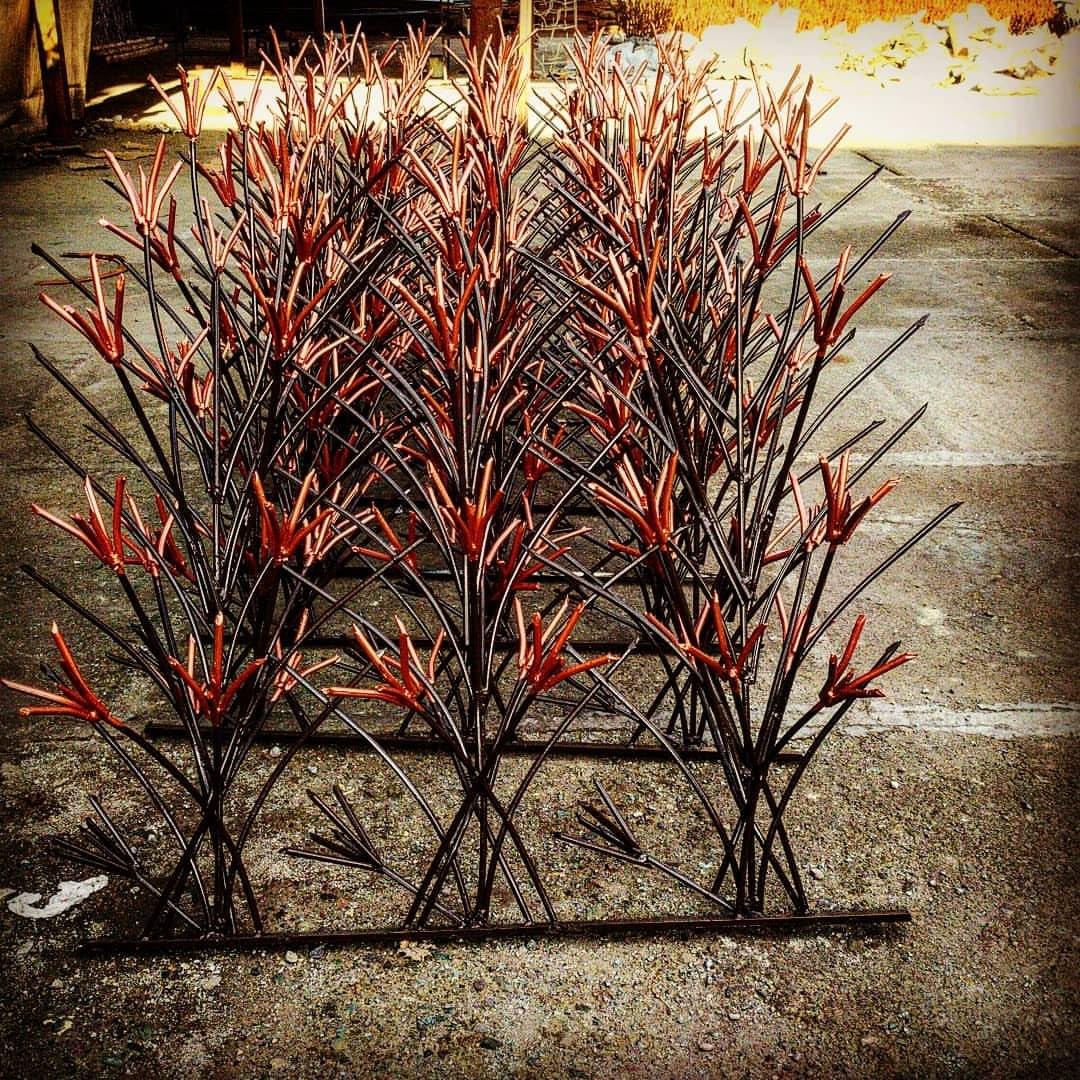 حفاظ شاخ گوزنی سپری در برابر سارقین