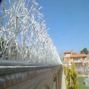 حفاظ نخل مرداب زیبا و مقاوم