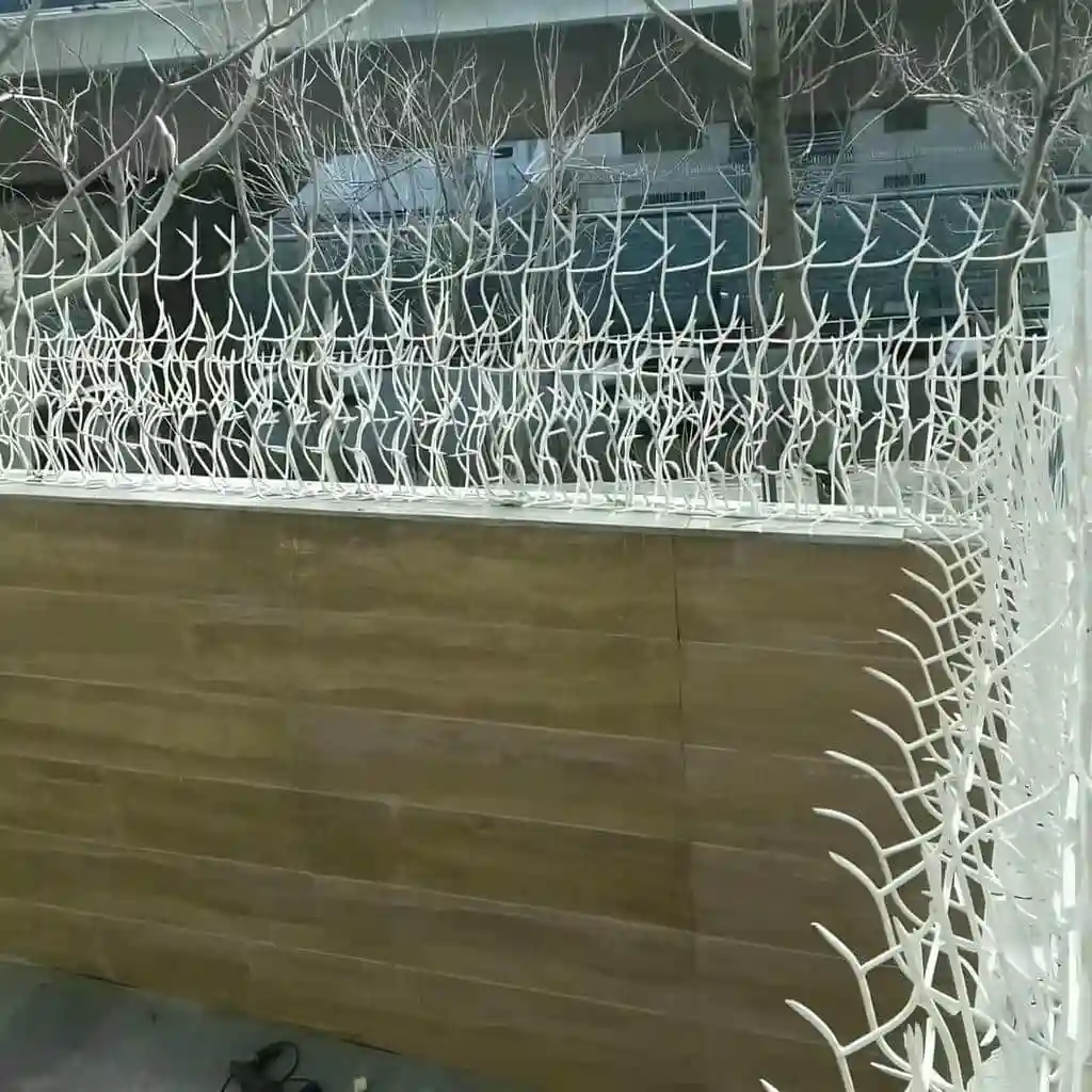 ویژگی های حفاظ دیواری شاخ گوزنی