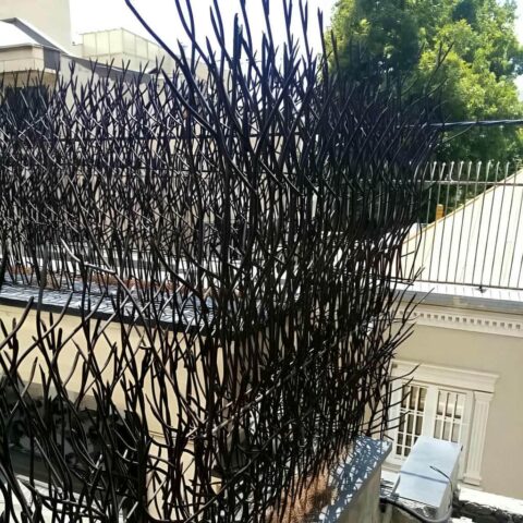حفاظ شاخ گوزنی چیست و چه کاربردی دارد