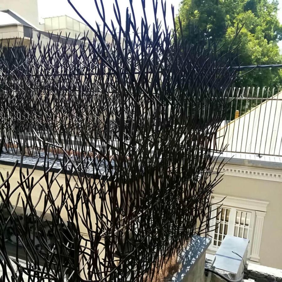 حفاظ شاخ گوزنی چیست و چه کاربردی دارد