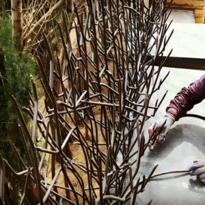 مشاهده عکس مدل های متنوع حفاظ شاخ گوزنی مدرن