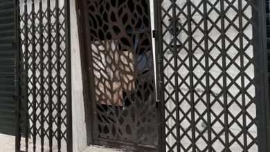 درب آکاردئونی حفاظ خانه در قائمشهر