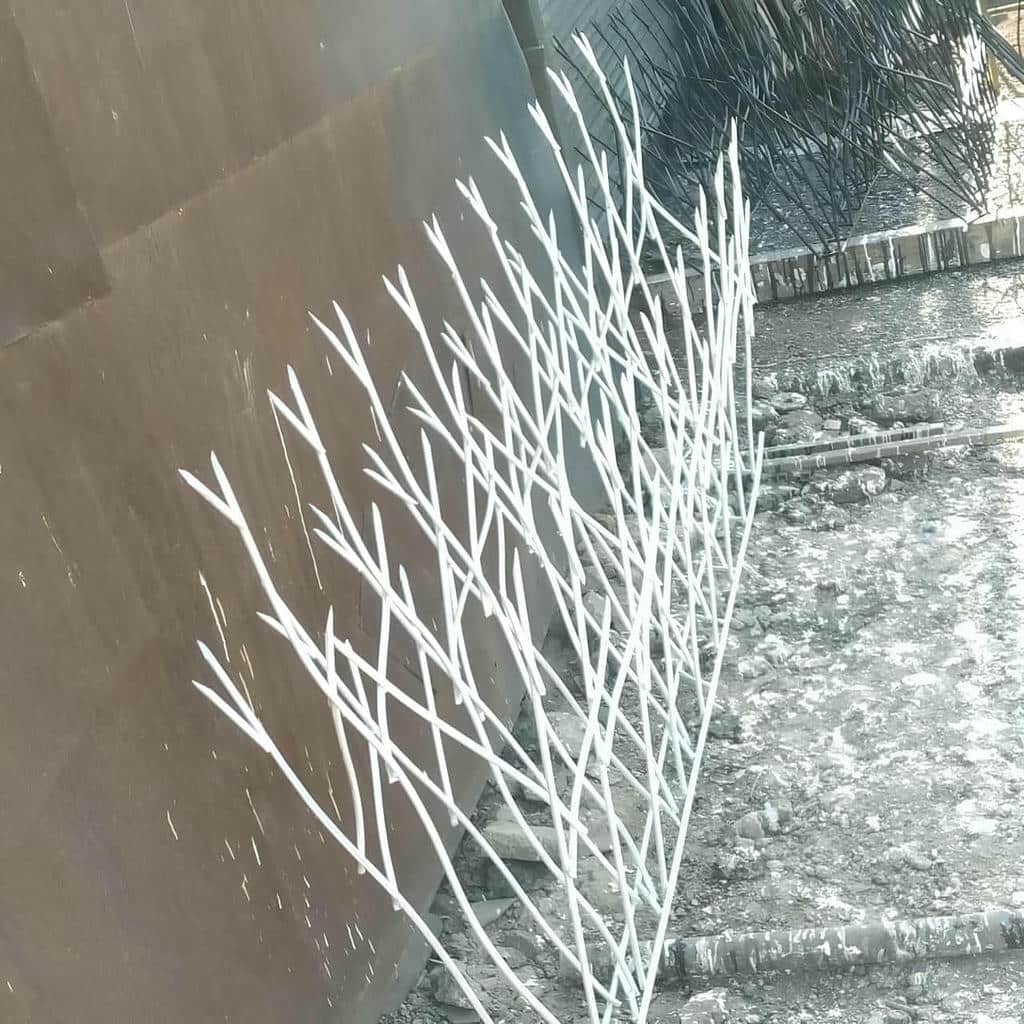 قیمت حفاظ شاخ گوزنی دیوار باغ در مهرشهر کرج