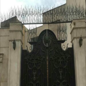 حفاظ شاخ گوزنی در پردیس