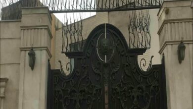 حفاظ شاخ گوزنی در پردیس