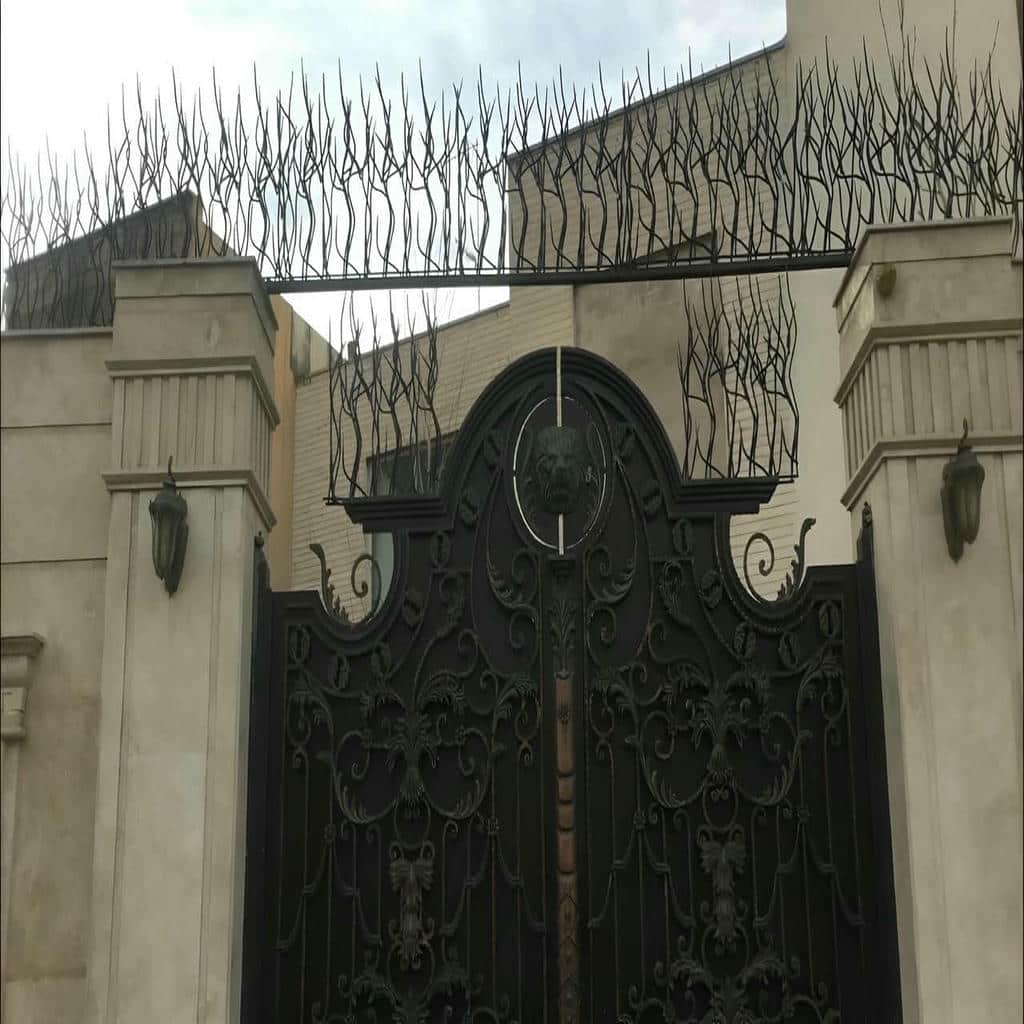 حفاظ شاخ گوزنی در پردیس