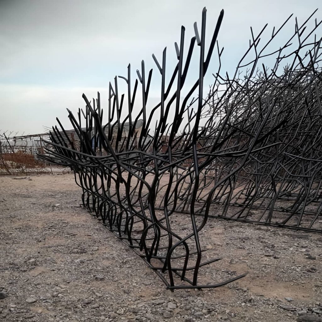 حفاظ شاخ گوزنی در اهواز