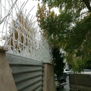 حفاظ شاخ گوزنی در چالوس