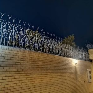 حفاظ شاخ گوزنی در بندر لنگه