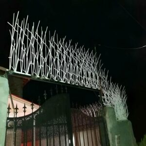 حفاظ شاخ گوزنی در شهریار