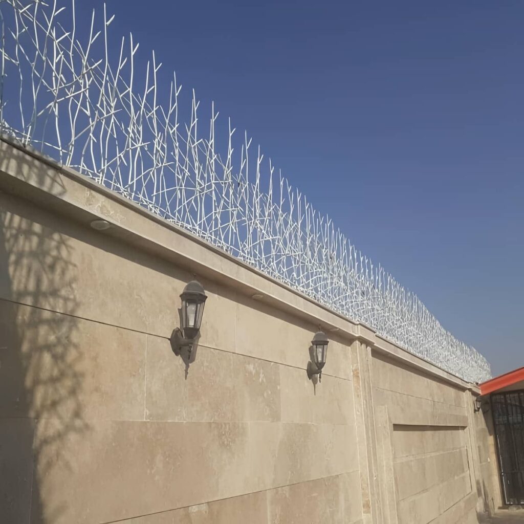 حفاظ شاخ گوزنی در مهرشهر کرج