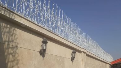 حفاظ شاخ گوزنی در مهرشهر کرج