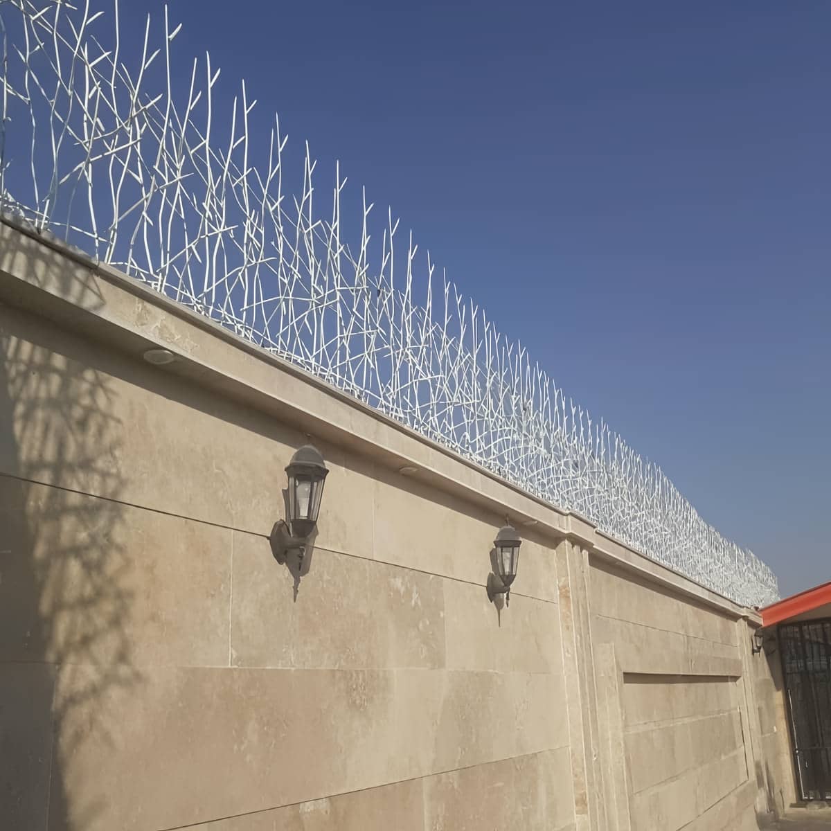 حفاظ شاخ گوزنی در مهرشهر کرج حفاظ شاخ گوزنی در مهرشهر کرج