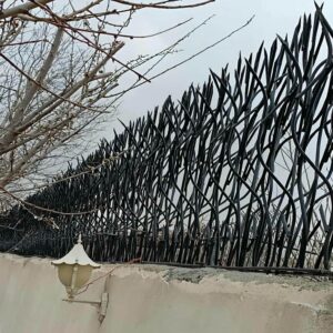 حفاظ شاخ گوزنی در طالقان
