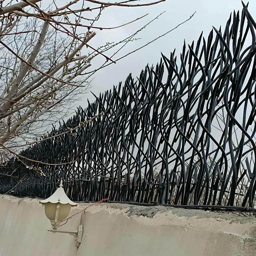 حفاظ شاخ گوزنی در طالقان