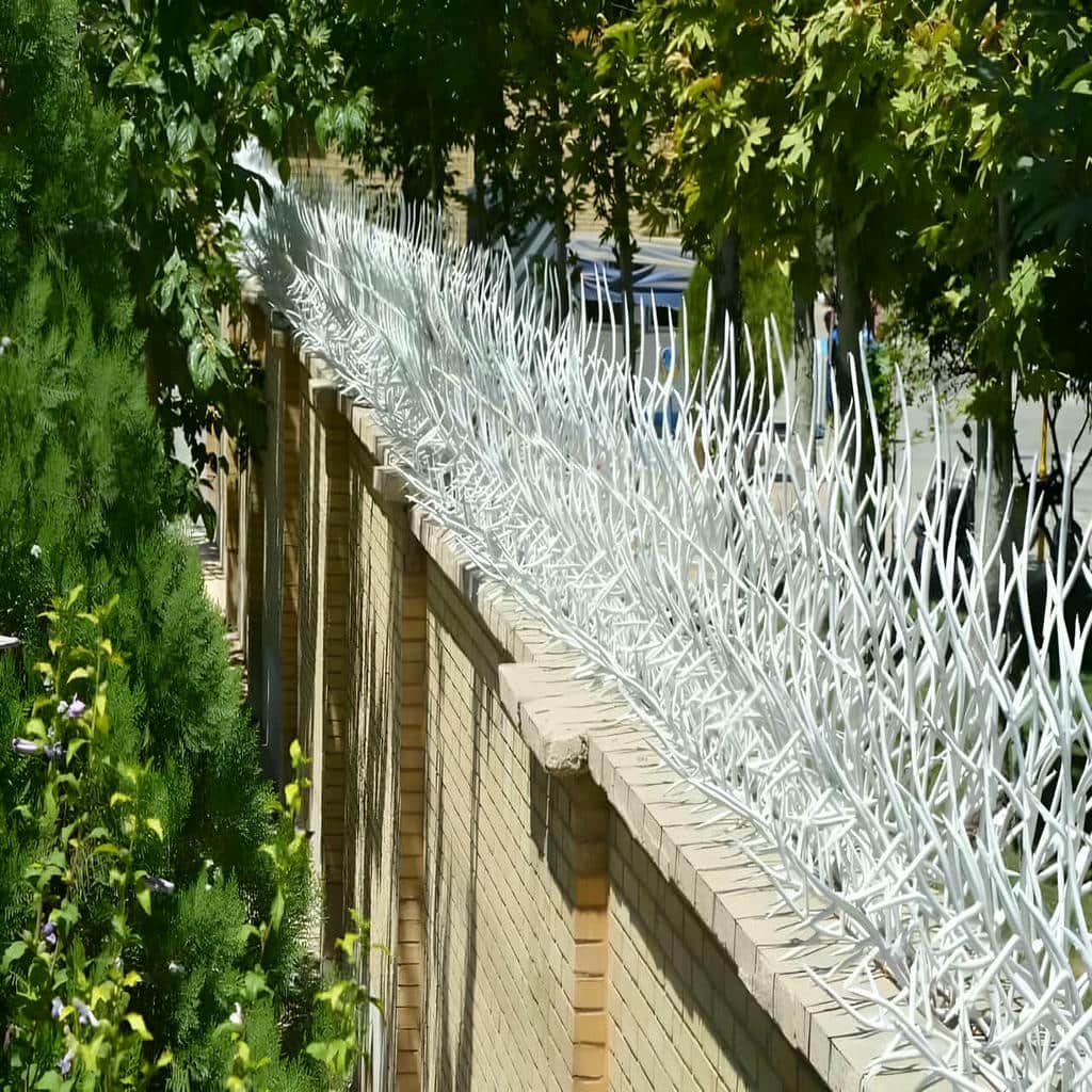 خرید حفاظ شاخ گوزنی بازدارندگی دیوار در بندر لنگه