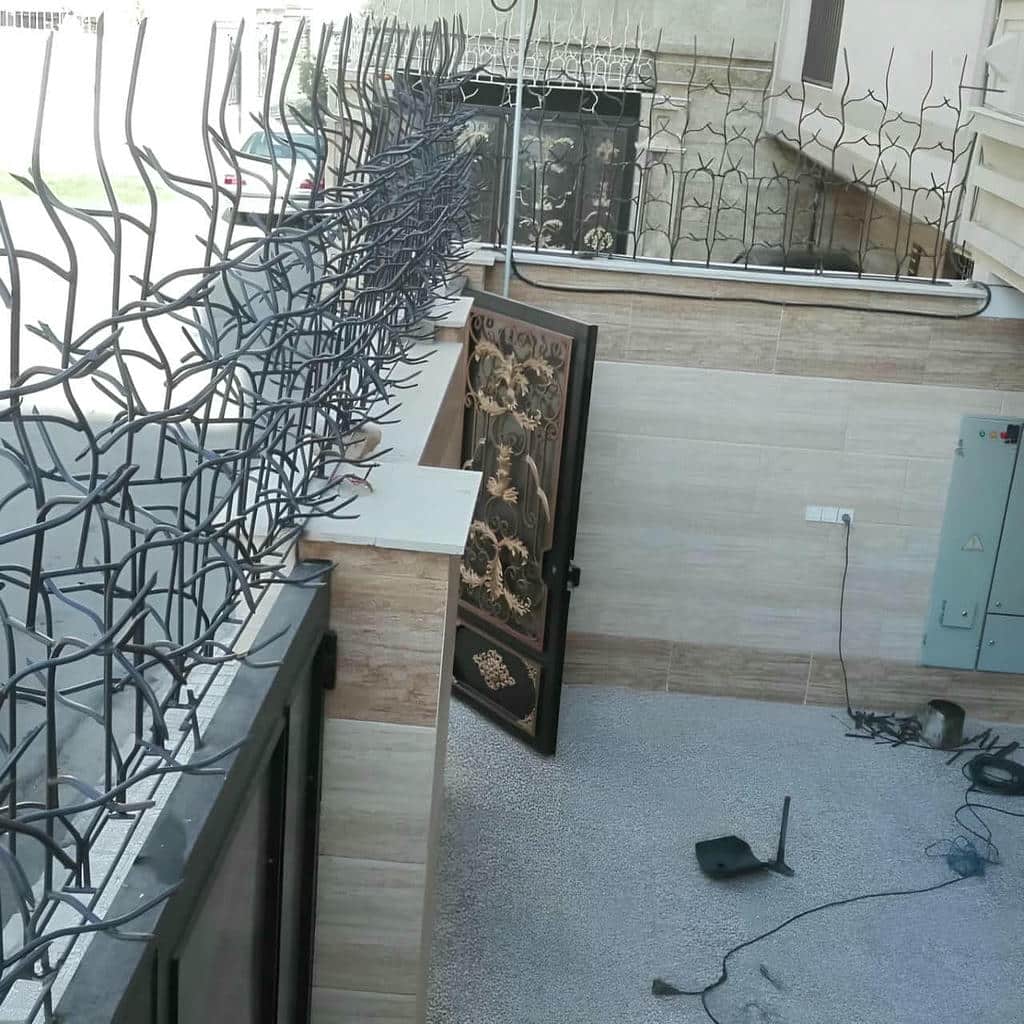 حفاظ شاخ گوزنی در ایلام