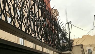 حفاظ شاخ گوزنی در بابل