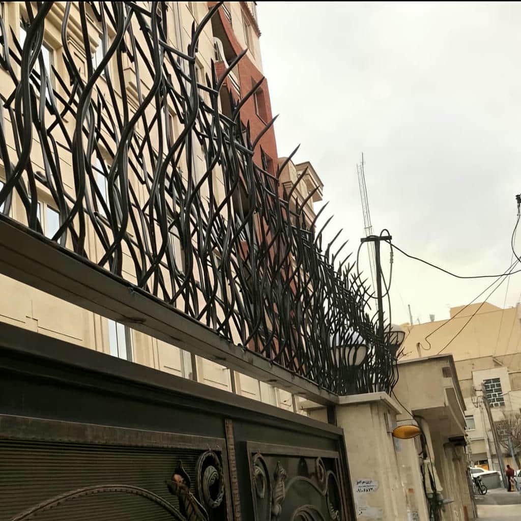 حفاظ شاخ گوزنی در بابل