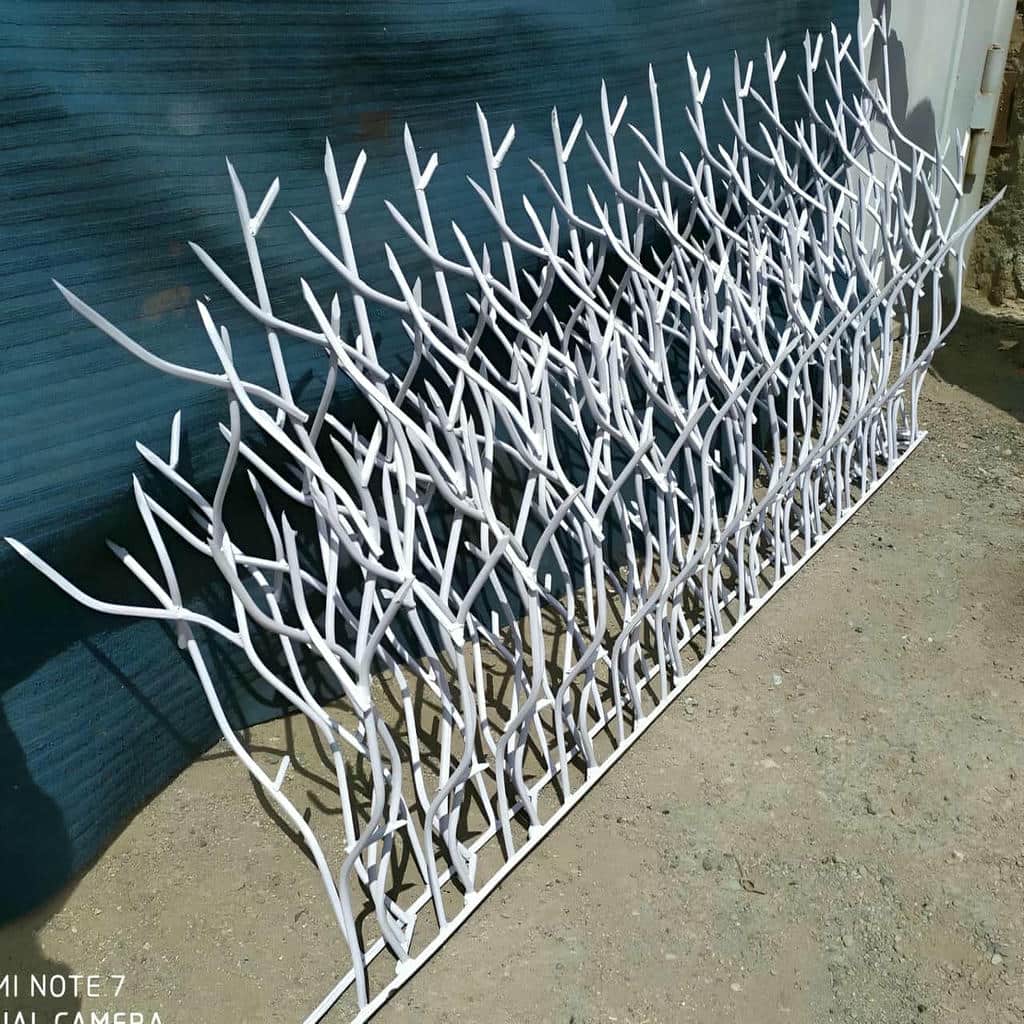 حفاظ شاخ گوزنی در رفسنجان