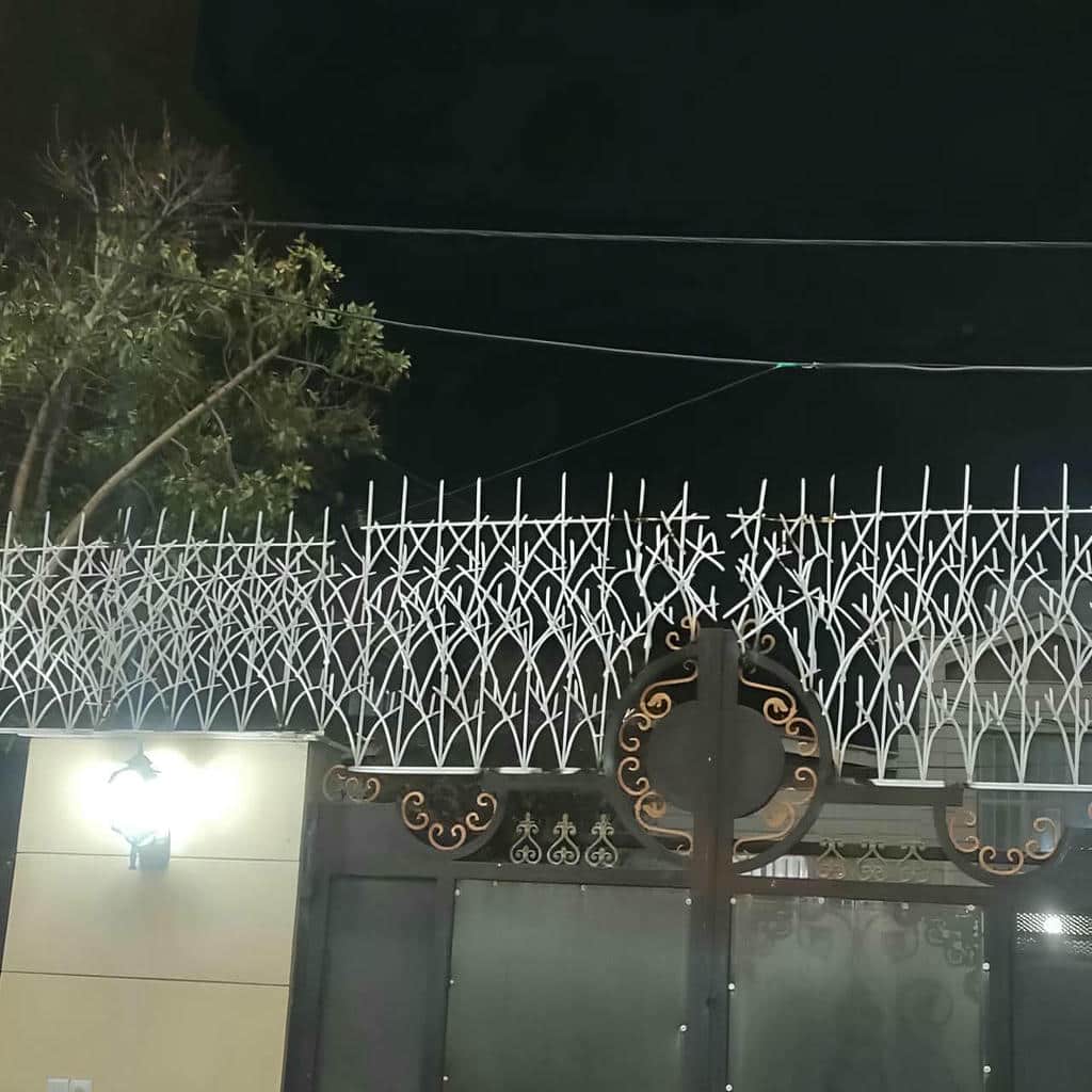 حفاظ شاخ گوزنی در بومهن