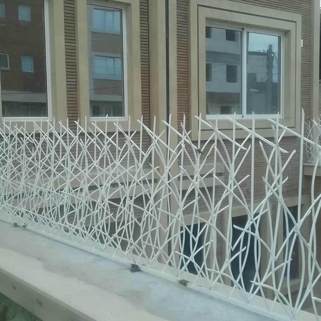 حفاظ شاخ گوزنی در مشهد