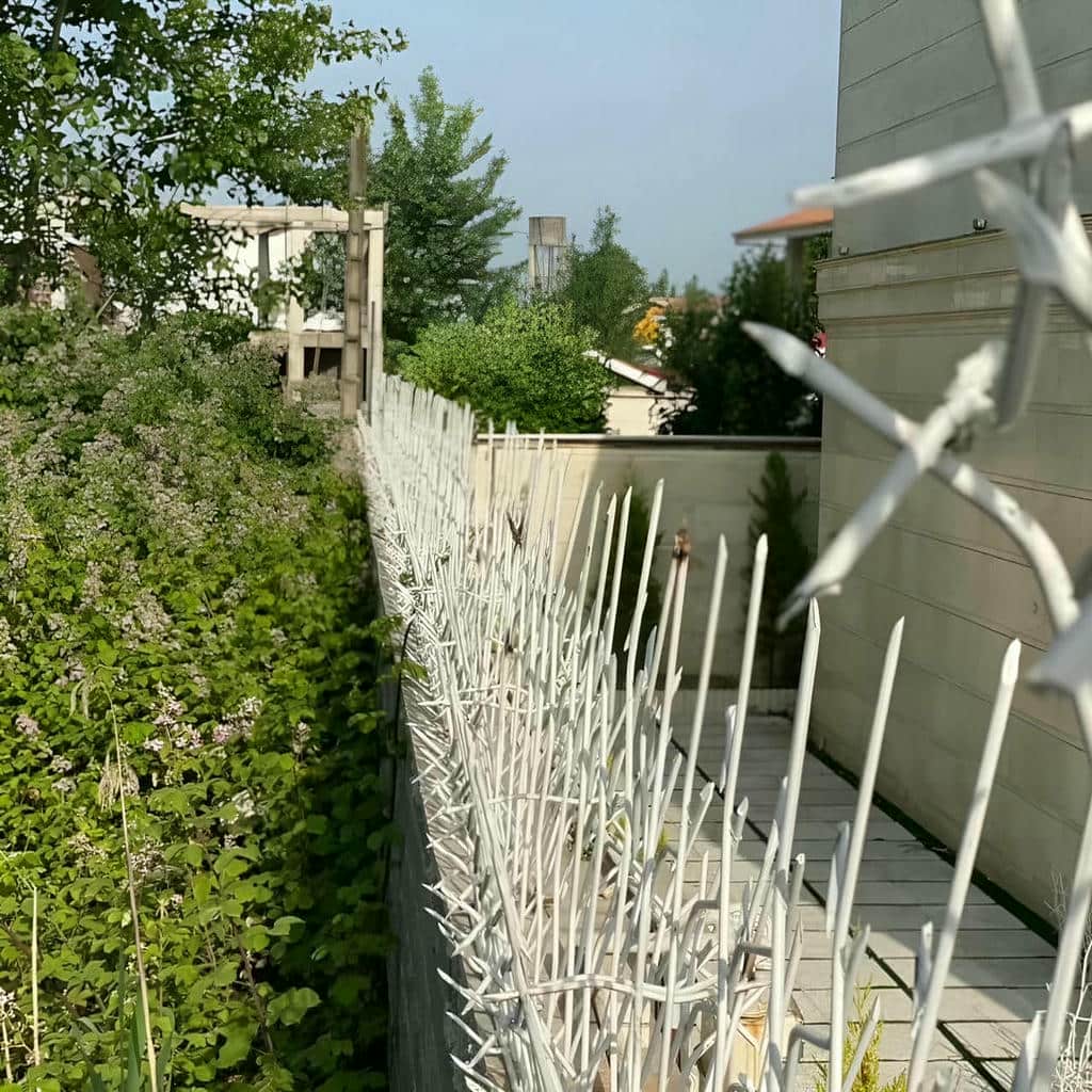 خرید حفاظ شاخ گوزنی تراکم بالا در رشت