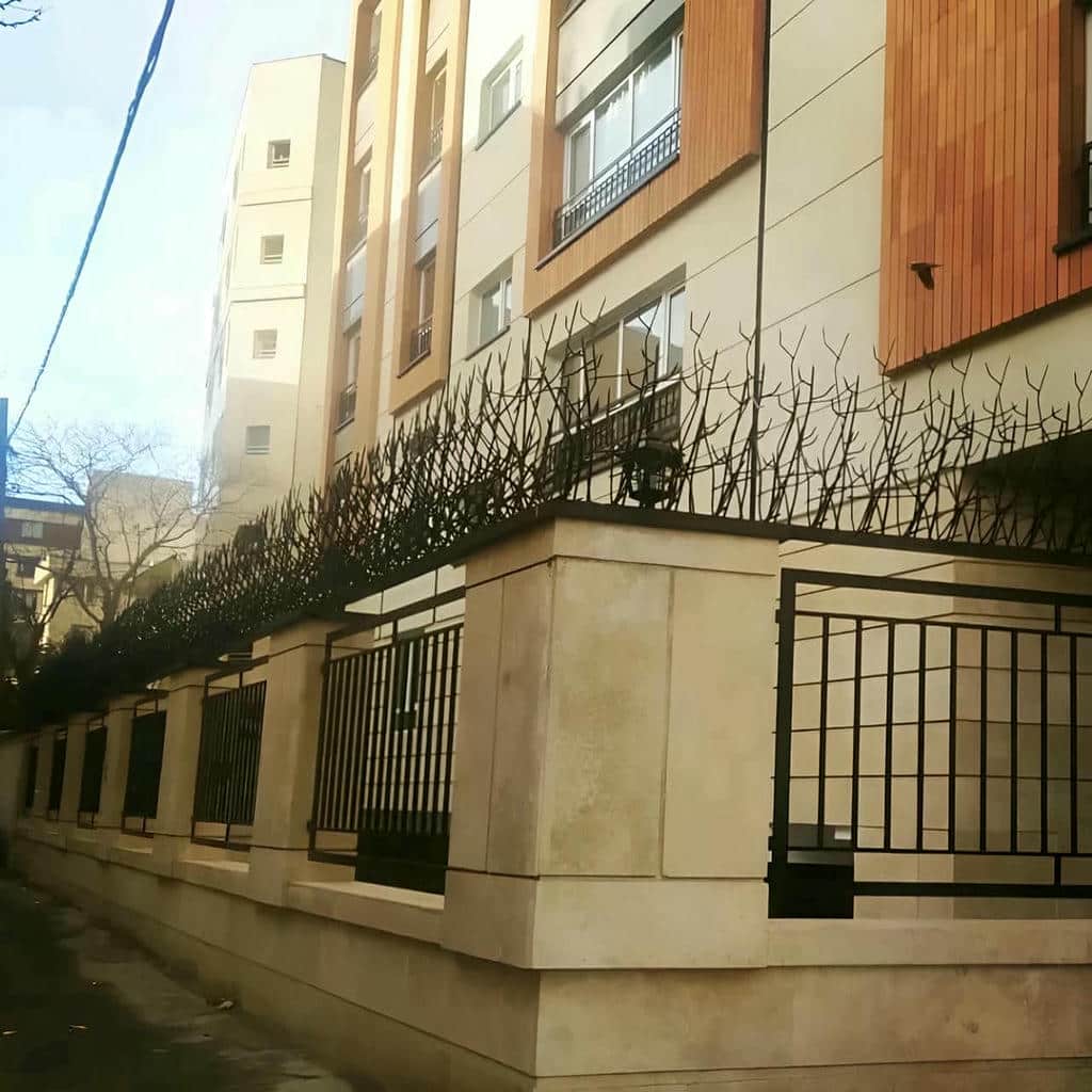 حفاظ شاخ گوزنی در لواسان