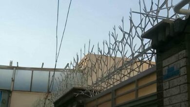 حفاظ شاخ گوزنی در تبریز