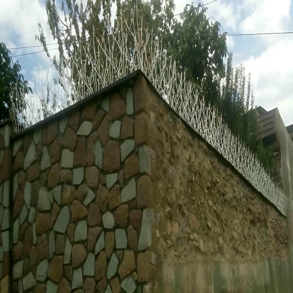 خرید حفاظ شاخ گوزنی طراحی شاخه‌ای در قائمشهر