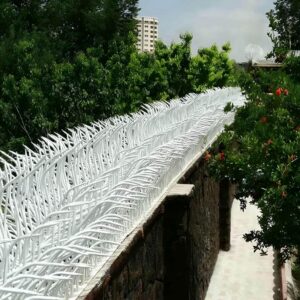 حفاظ شاخ گوزنی در استان گیلان