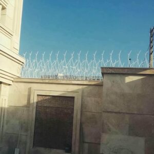حفاظ شاخ گوزنی در ملارد