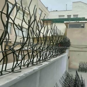 حفاظ شاخ گوزنی در آمل