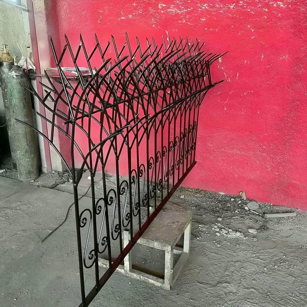 حفاظ شاخ گوزنی در فیروزکوه