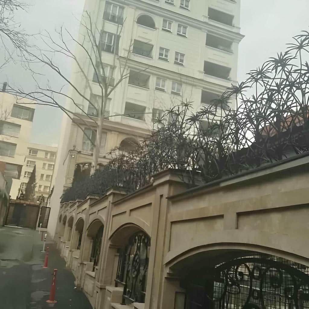 قیمت حفاظ شاخ گوزنی رنگ ساحلی در قشم
