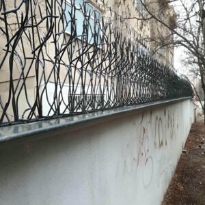 حفاظ شاخ گوزنی در سبزوار
