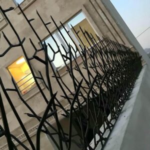 حفاظ شاخ گوزنی در خرم آباد