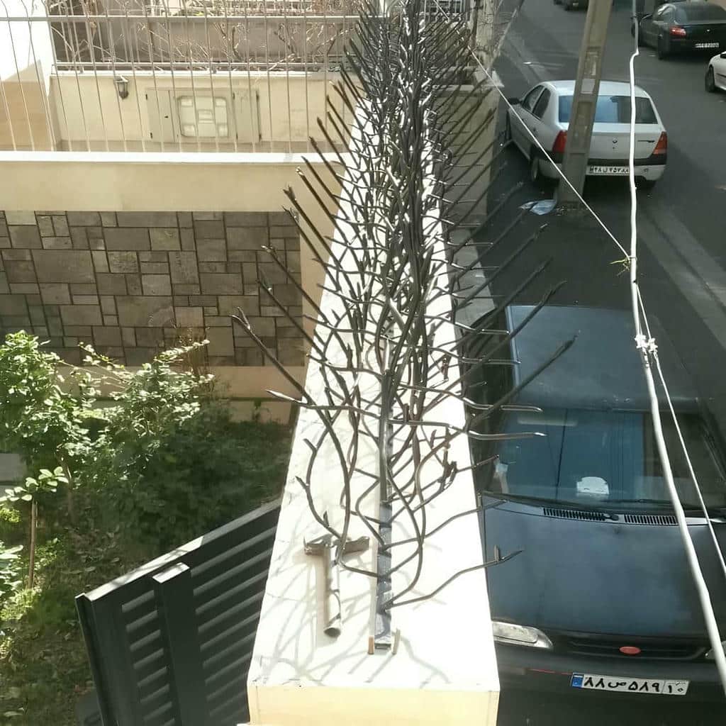 قیمت حفاظ شاخ گوزنی رنگ مقاوم در بندر انزلی