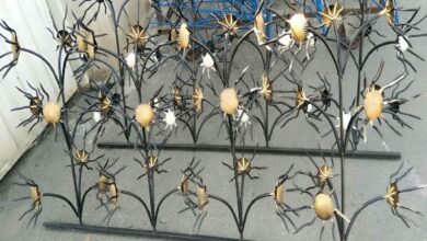 حفاظ شاخ گوزنی در ایرانشهر