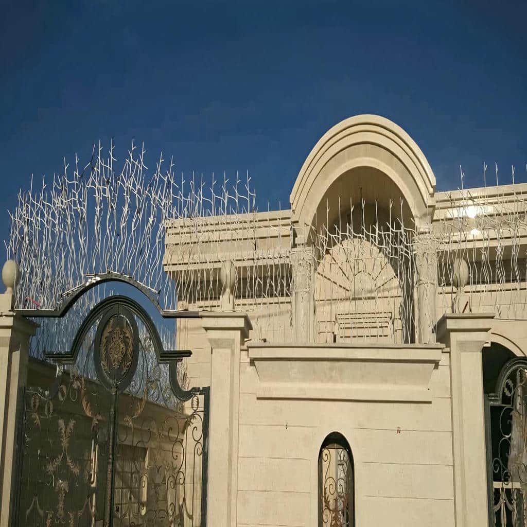 حفاظ شاخ گوزنی در کرمان