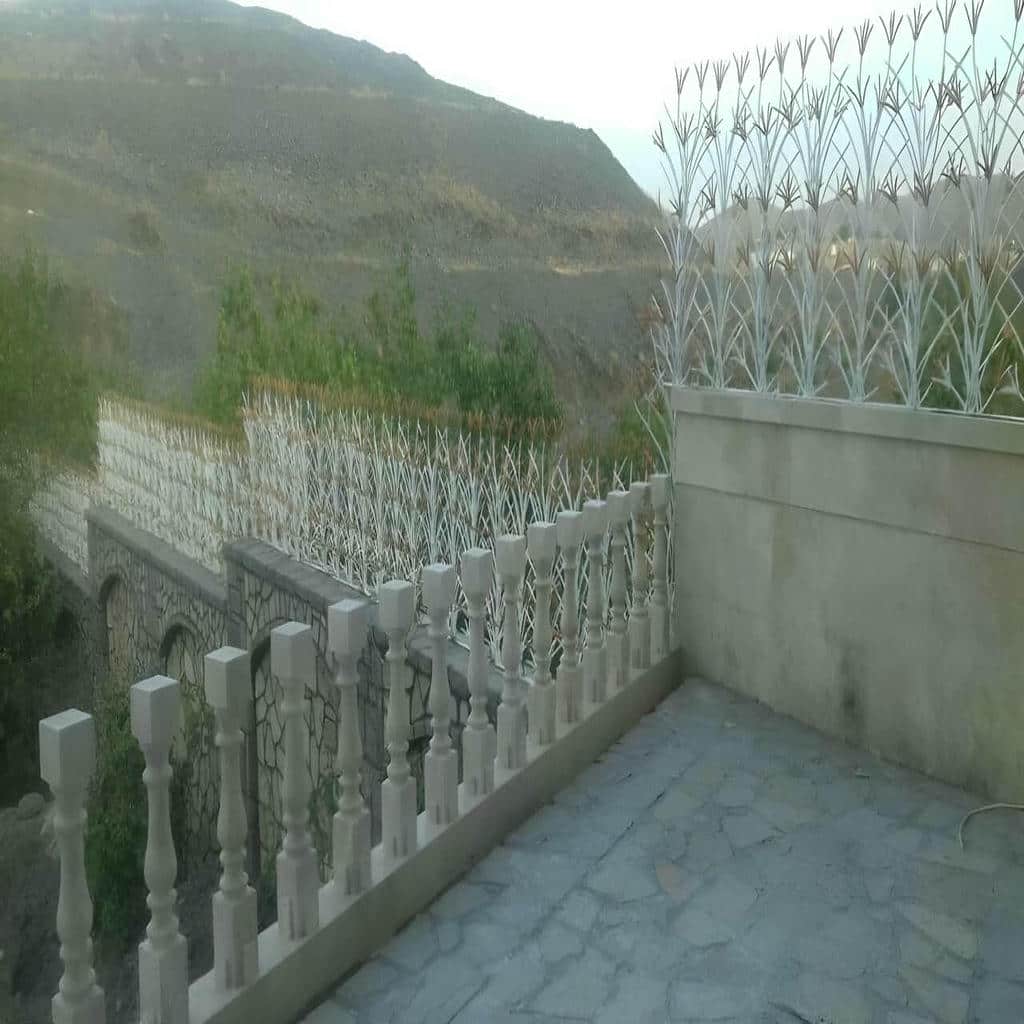 خرید حفاظ شاخ گوزنی تراکم بالا در اهواز