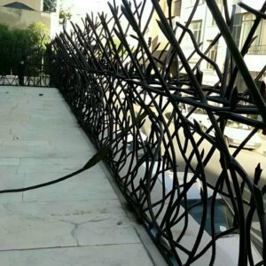 حفاظ شاخ گوزنی در بندر انزلی