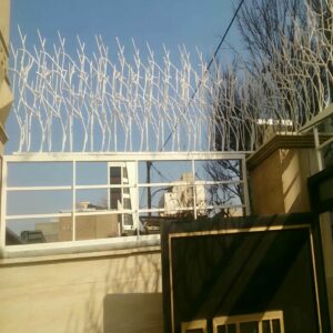 حفاظ شاخ گوزنی در همدان
