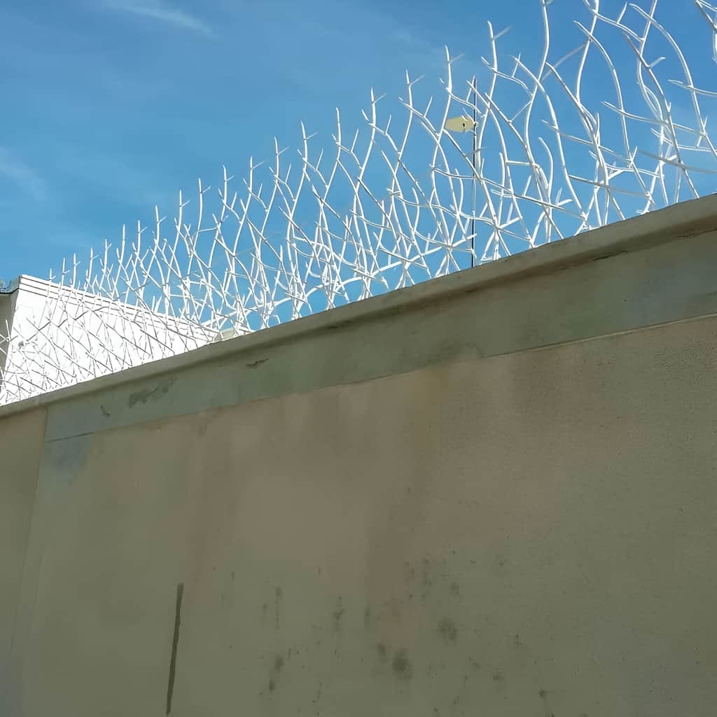 حفاظ شاخ گوزنی با جوشکاری تمیز اتصالات