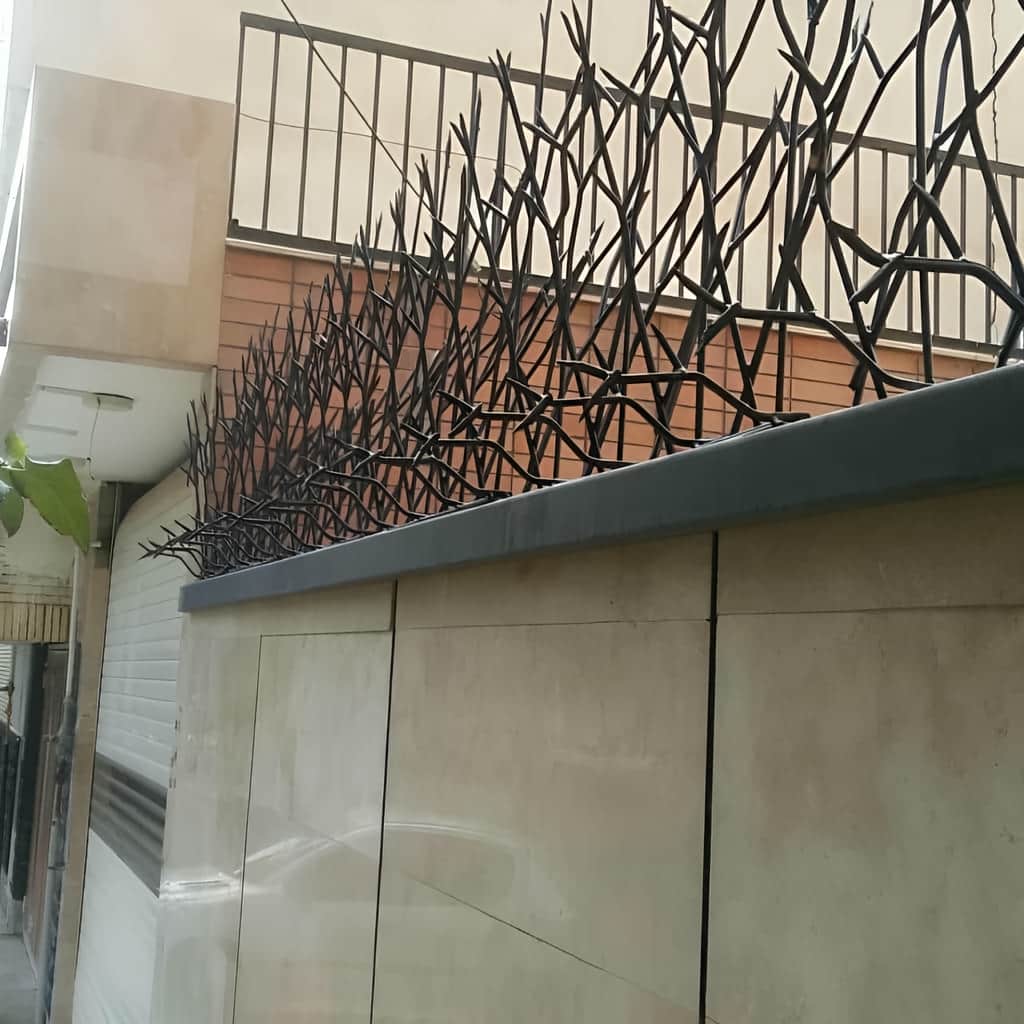 حفاظ شاخ گوزنی هنگام نصب روی دیوار