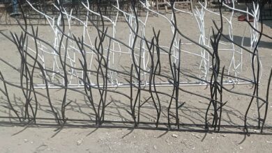 دلایل انتخاب حفاظ شاخ گوزنی برای امنیت دیوار
