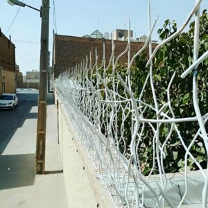 حفاظ شاخ گوزنی خاردار برای امنیت دیوار
