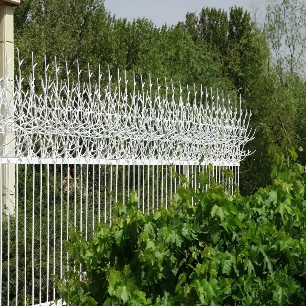 تولید حفاظ شاخ گوزنی متراکم با شاخههای همارتفاع تولید حفاظ شاخ گوزنی متراکم با شاخههای همارتفاع
